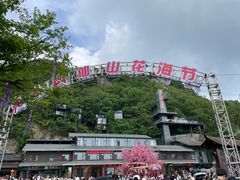 -老君山风景名胜区