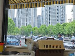 -虹泰宠物医院 ·旗舰店·24h(南秀路店)