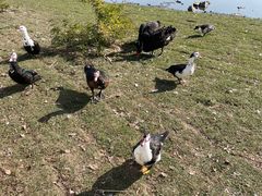 -长春市南湖公园