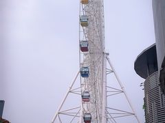-琴岛之星摩天轮