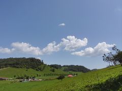 -关山草原