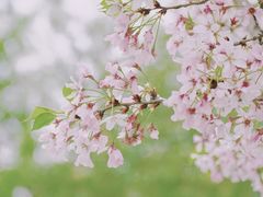 -桂溪生态公园