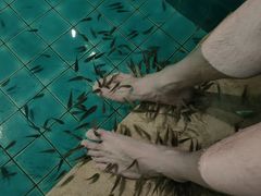 -静之湖湖畔餐厅