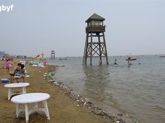 -碧海金沙