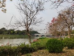 -海珠湖公园