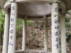 -南山风景名胜区