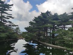 -黄山风景区