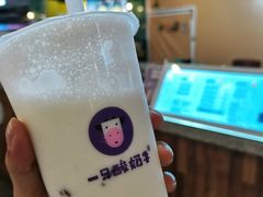 -一只酸奶牛(益州国际店)