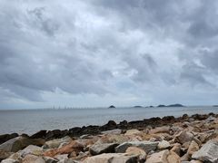 -野狸岛