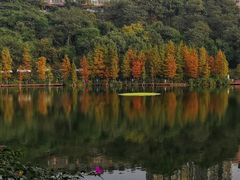 -重庆彩云湖湿地公园