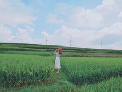 -贵州云顶草原民族风情园