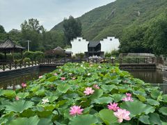 -荷塘味道(水长城店)