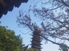 -常熟方塔园