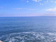 -广东惠东海龟国家级自然保护区