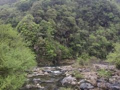 -石台牯牛降景区
