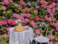 -HERRE·FARM 赫尔露营农场·团建聚会包场