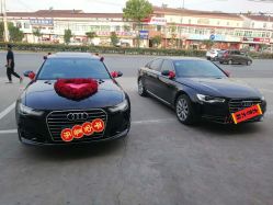 -蚂蚁婚车