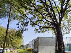 -华南师范大学(广州大学城校区)