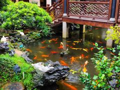 -北园酒家(小北路店)