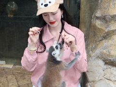 -灵玲国际马戏城