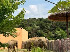 -沈阳森林动物园