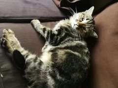 -凡人&庄阿姨的辣(万寿亭店)