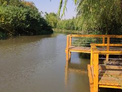 -新江湾城公园