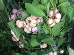 -金陵之星大酒店·中餐厅