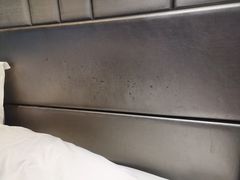 -榛悦隆堡成都酒店(春熙路太古里店)