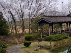 -莲峰云海景区