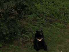 -合肥野生动物园