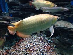 -多彩贵州城极地海洋世界