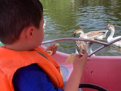 -西安秦岭野生动物园