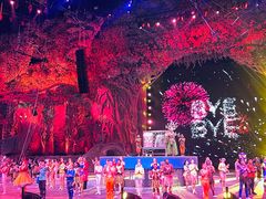 -广州长隆国际大马戏