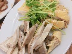 白切鸡-九叔鸡饭(升平街店)