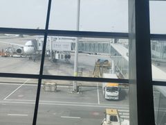 -合肥新桥国际机场-航站楼