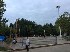 -洛龙公园
