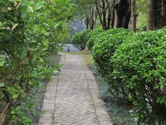 -广州神农草堂中医药博物馆