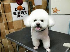 -我爱吾宠宠物美容院(朝阳路店)