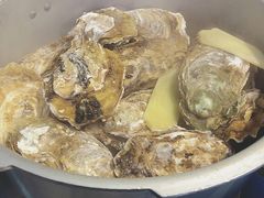 高压锅蒸新西兰青口-千岛蚝高压锅生蚝·人参火锅(白云万达店)