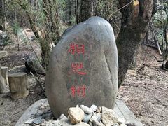 -卡定沟景区