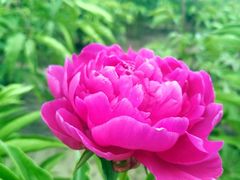 -长春公园(普阳街道)