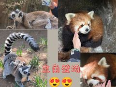 -北京野生动物园