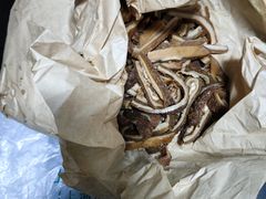 -上海牛羊肉公司塘沽路清真门市部