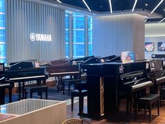 -知音艺术教育培训·钢琴培训·音乐培训(河西金鹰世界校区)