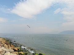 -磻溪渡口