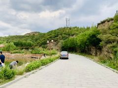 -五龙城郊森林公园