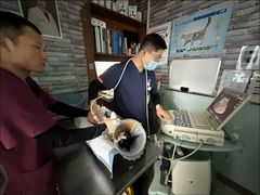 -纳吉亚猫专科动物医院博雅分院