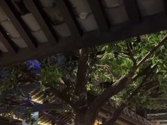 -绿茶餐厅(昆明世纪金源店)