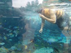 -新加坡水上探险乐园